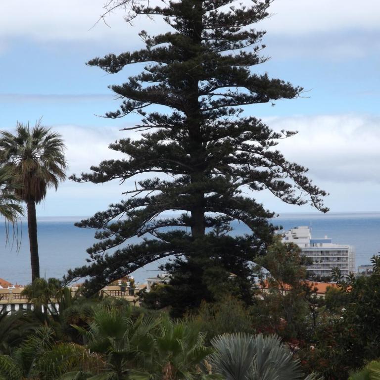 The Blue Corner Apartments - Apartamento Superior - 33
