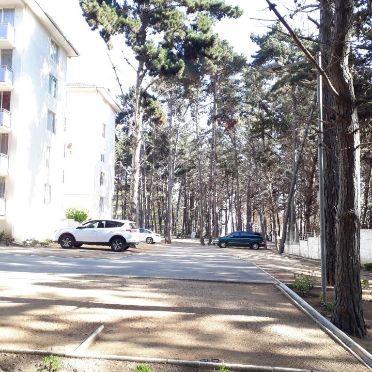 Departamento Bosques del Tabo - Two-Bedroom Apartment - 9