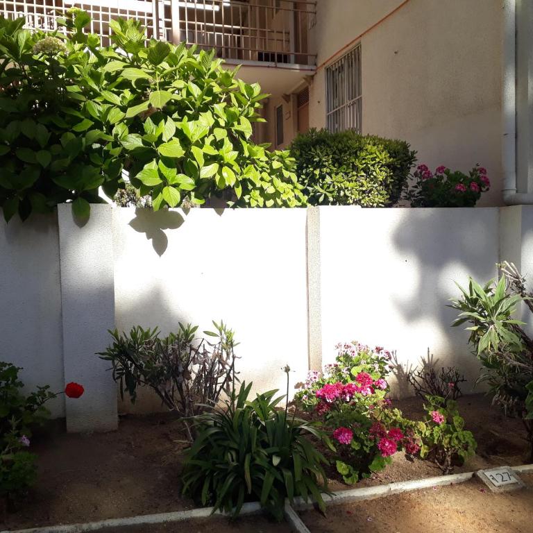 Departamento Bosques del Tabo - Two-Bedroom Apartment - 25