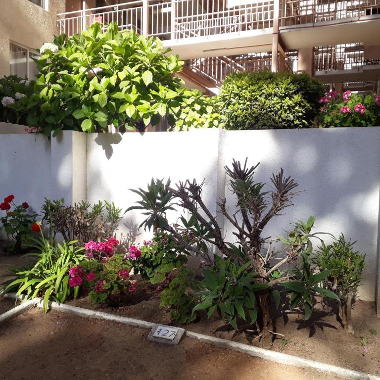 Departamento Bosques del Tabo - Two-Bedroom Apartment - 24