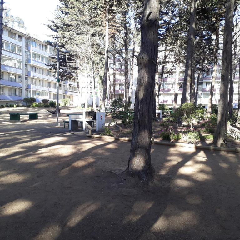 Departamento Bosques del Tabo - Two-Bedroom Apartment - 4