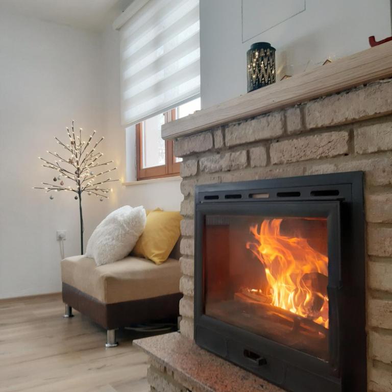 Kuća za odmor Ravna planina - Two-Bedroom House - 1