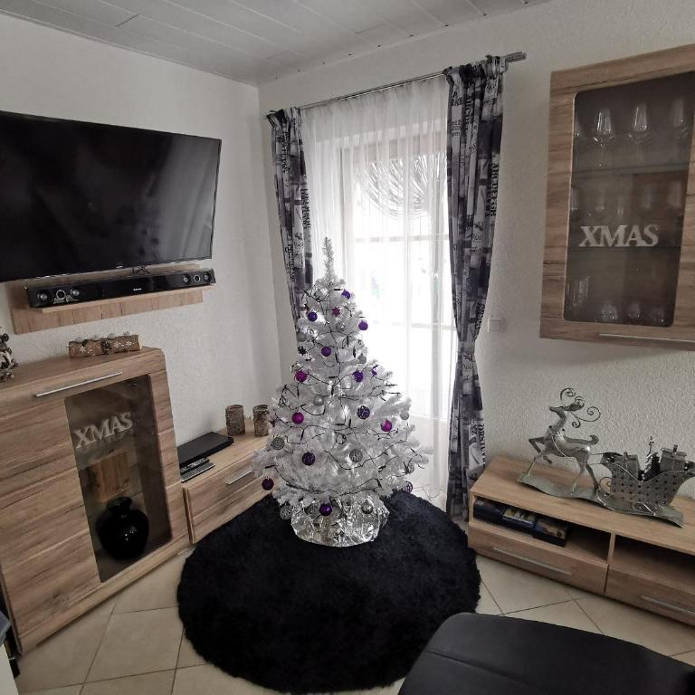Alpen-Chalet Ehrwald - Appartamento - 8