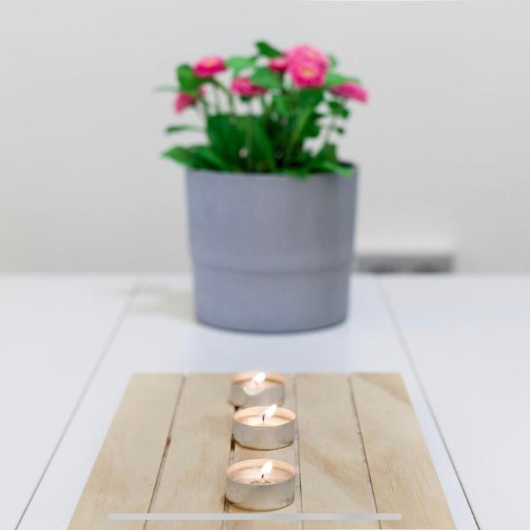 Boutike Wellness Centro Almería - Apartamento de 2 dormitorios - 25