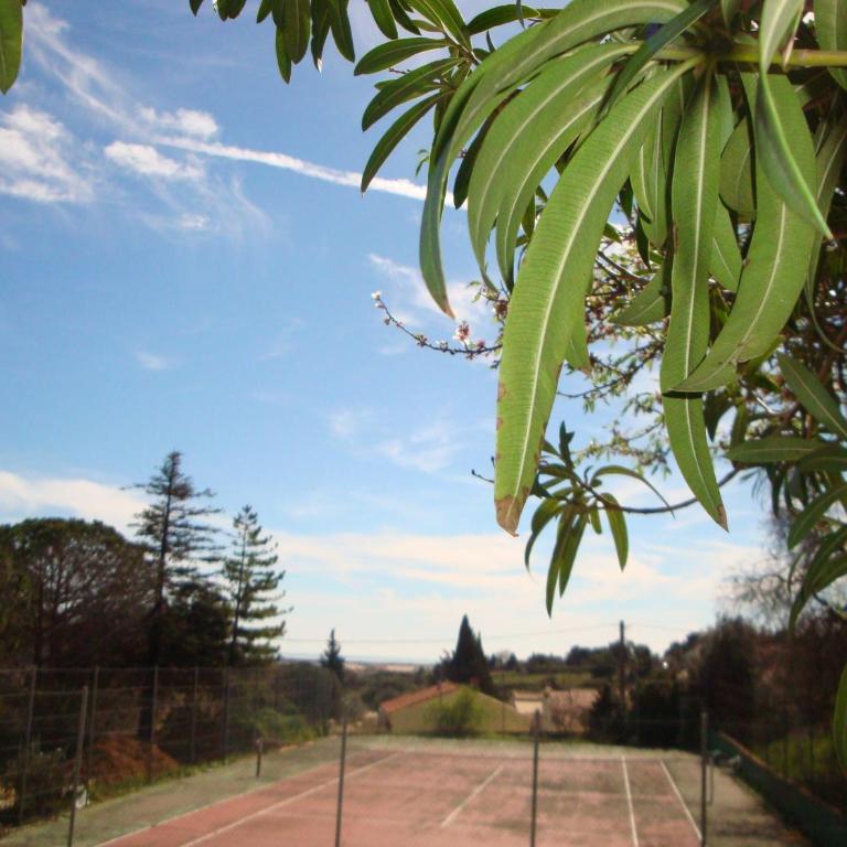 Leucate,dans la verdure,studio caverne en pierre dans propriété sécurisée - Appartement - Vue sur Jardin - 6