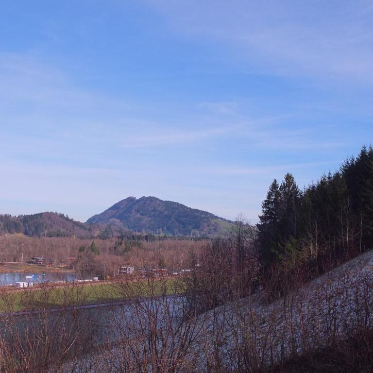 Ferienwohnung Sauer - Apartment mit Blick auf die Berge - 15