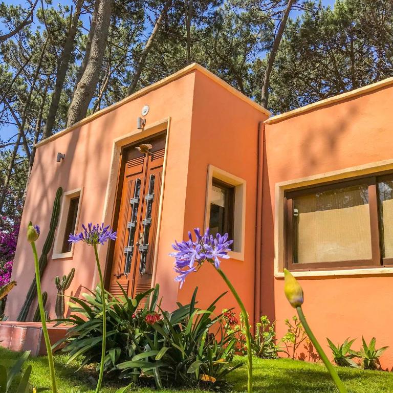 Nico - Casa de 2 dormitorios - 4