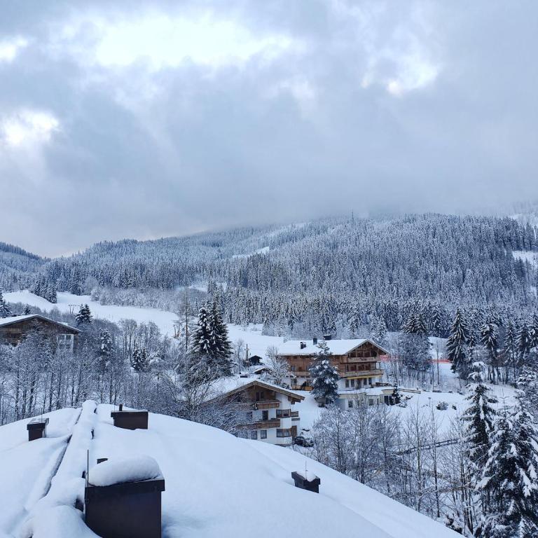 Haus Sonnleiten - Apartment mit Blick auf die Berge - 31