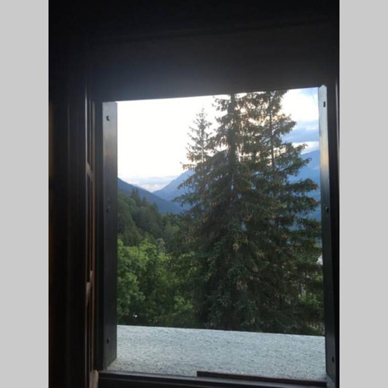 Maison des Alpes mansarda - Appartamento con 1 Camera da Letto - 12