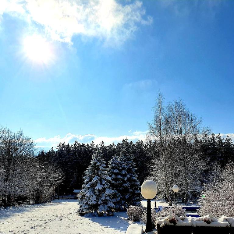 Apartment White Bear - Apartman sa 1 Spavaćom Sobom - 19