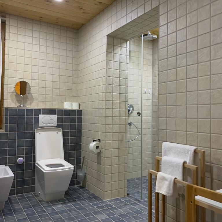 Chalet Kolašin - Deluks Studio - 9