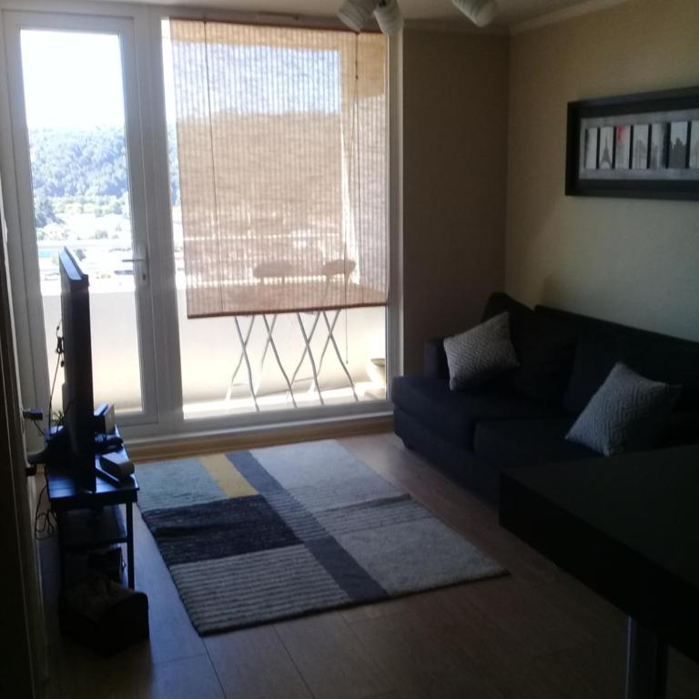 DEPARTAMENTO CENTRO TEMUCO - One-Bedroom Apartment - 3