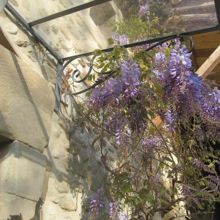 Le GITE du MAS des CLOTS - Maison 2 Chambres - 12