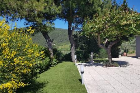 Casa Vacanze BELLAVISTA - Casa con 4 camere da letto - 24