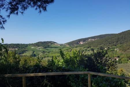 Casa Vacanze BELLAVISTA - Casa con 4 camere da letto - 27