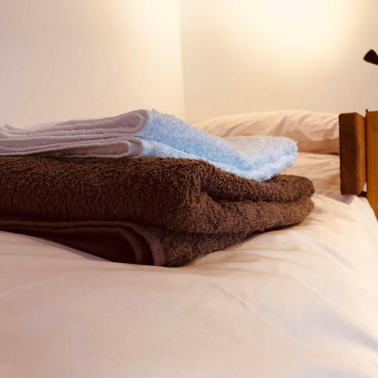 Clotes modern apartment, 50m from slopes - sleeps 6-8, 2 bath - SauzeHoliday - Appartamento con 2 Camere da Letto - 15