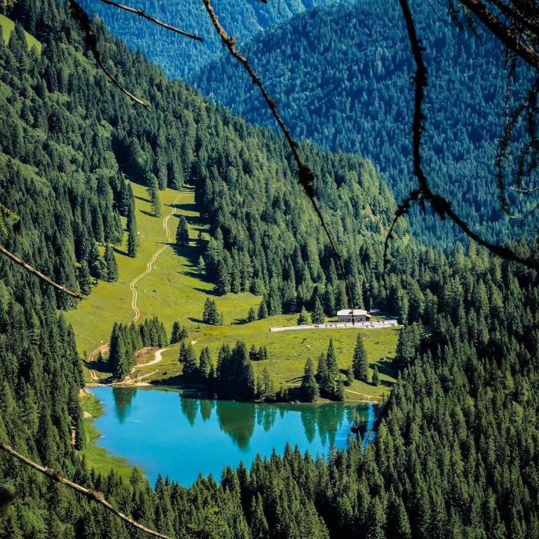 Baita Valon - Alpine Hideaway - Chalet - 6