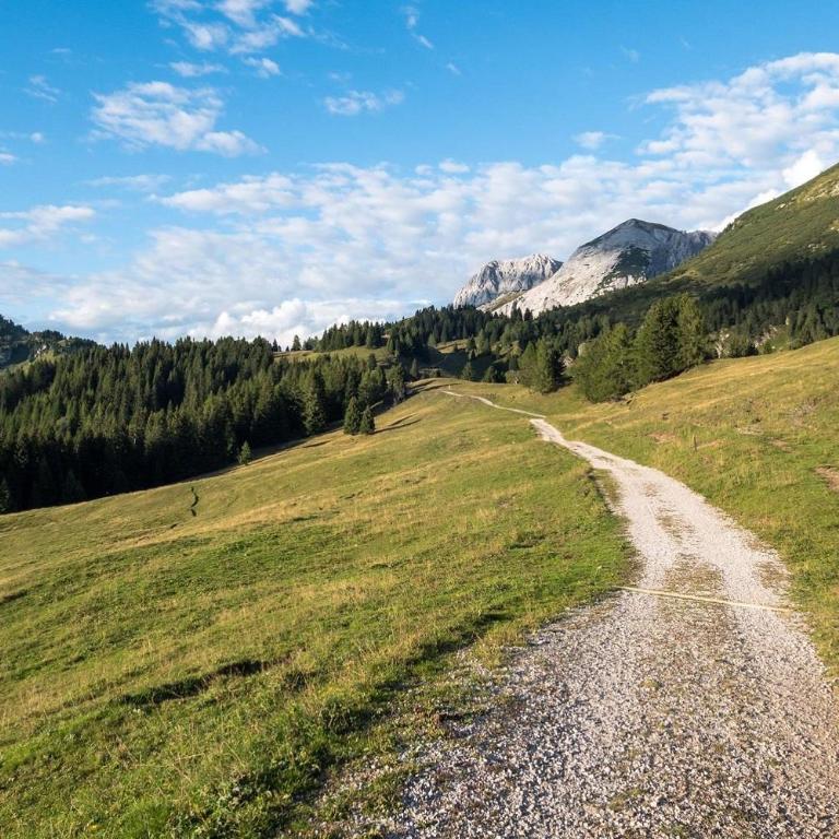 Baita Valon - Alpine Hideaway - Chalet - 12