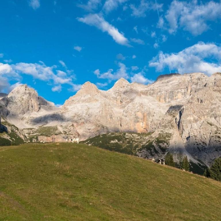 Baita Valon - Alpine Hideaway - Chalet - 28