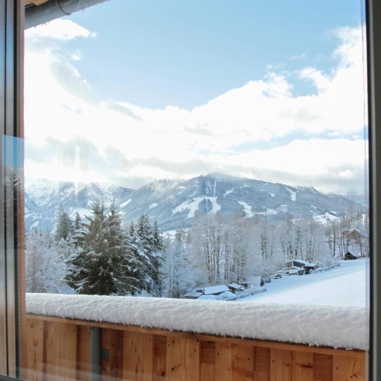 Haus Harmony Apartments - 2 Dachstein Blick - 31