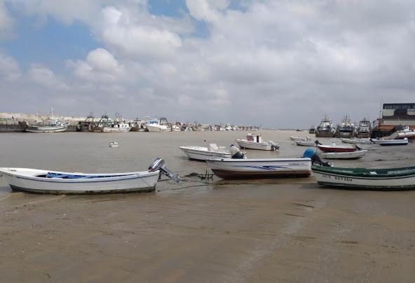 Almijar 9 - Apartamento de 3 dormitorios - 32