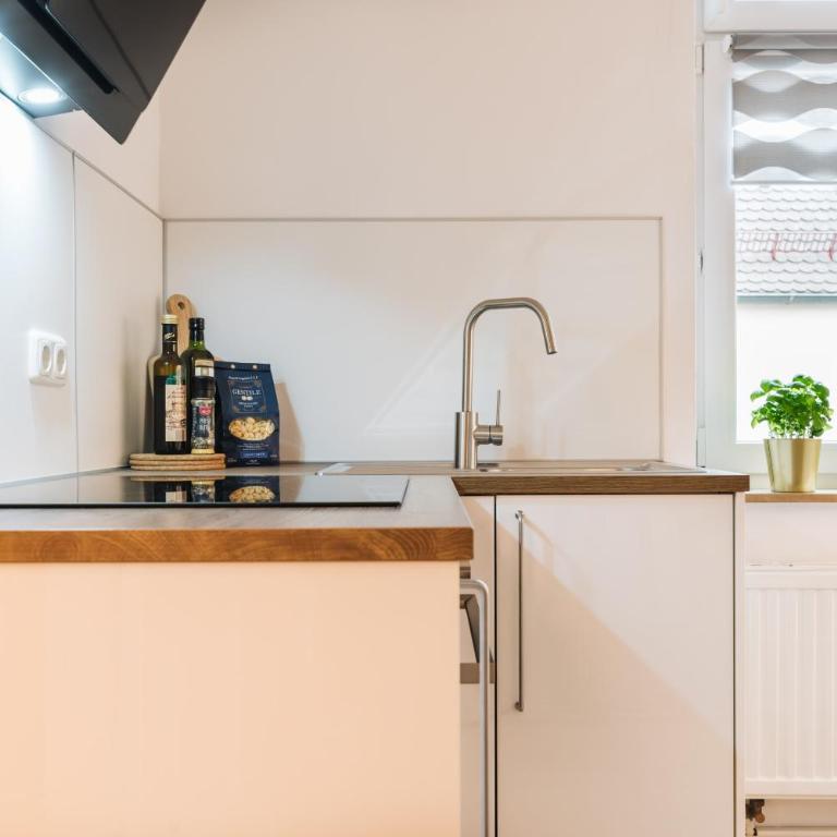 #1 AUGSBURG Altstadtjuwel - Apartment mit 1 Schlafzimmer - 13