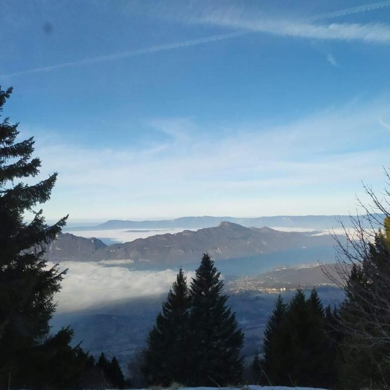 Les Terrasses de Tresserve - Appartement - Vue sur Lac - 5