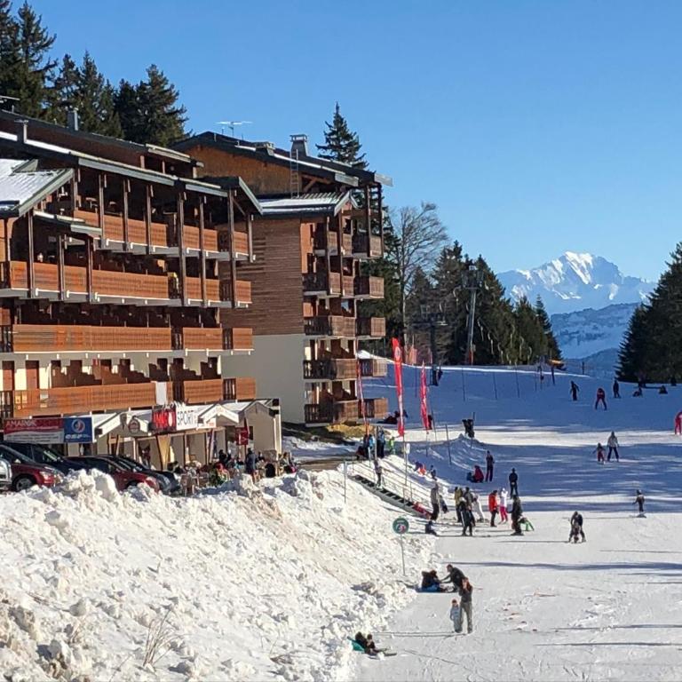 Les Terrasses de Tresserve - Appartement - Vue sur Lac - 7