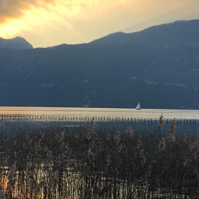 Les Terrasses de Tresserve - Appartement - Vue sur Lac - 8