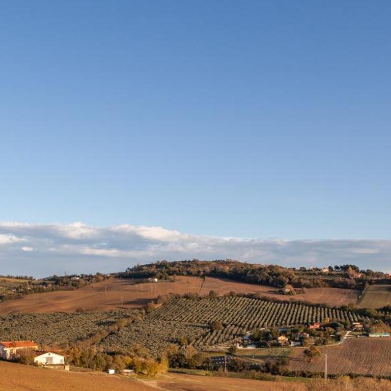 DEL CARMINE AGRIRESORT- ex a3passi - Suite con Vista Giardino - 5