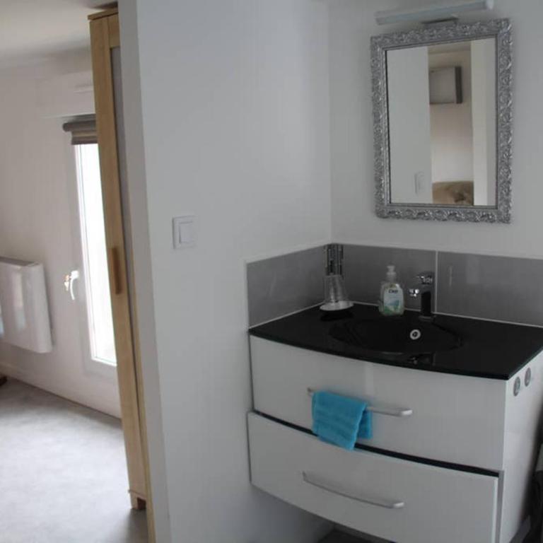 Arcachon, Gujan Mestras, studio cosy individuel, lumineux clim, jardin - Maison 1 Chambre - 19