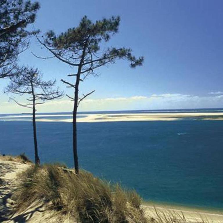 Arcachon, Gujan Mestras, studio cosy individuel, lumineux clim, jardin - Maison 1 Chambre - 31