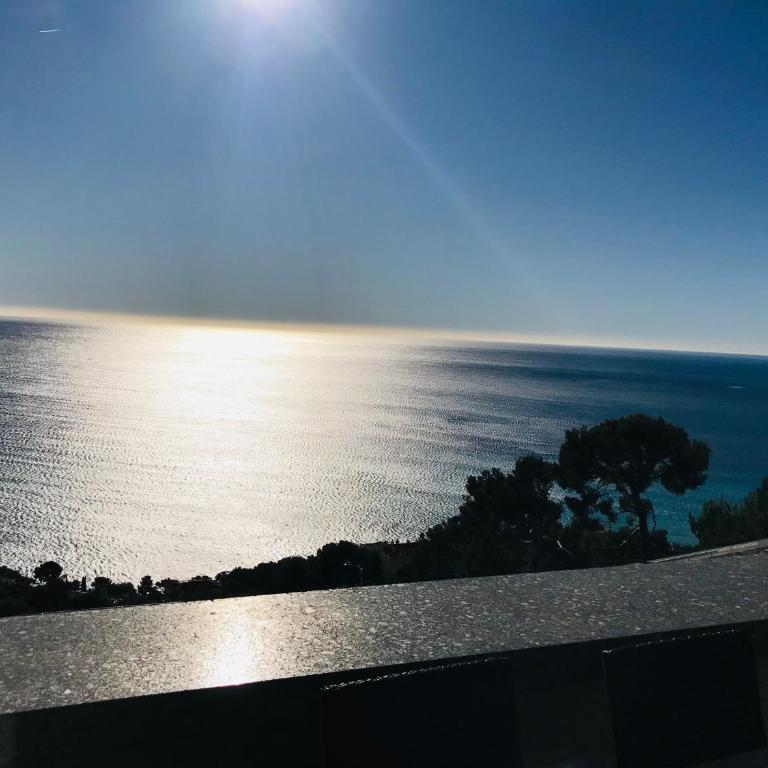 COSTA PLANA COLLECTION - Cap d'Ail - Monaco - Penthouse (212) - Vue sur Mer - 7