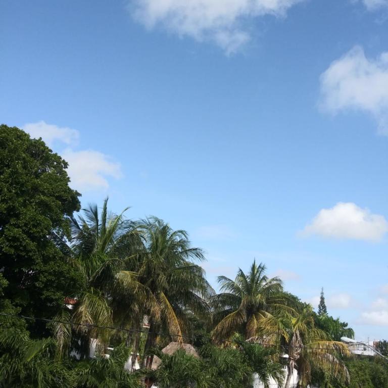 Los Balcones Puerto Morelos - Studio with Pool View - 14