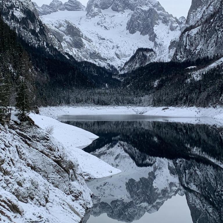 Dachstein Mountainview Gosau - Appartamento - 32