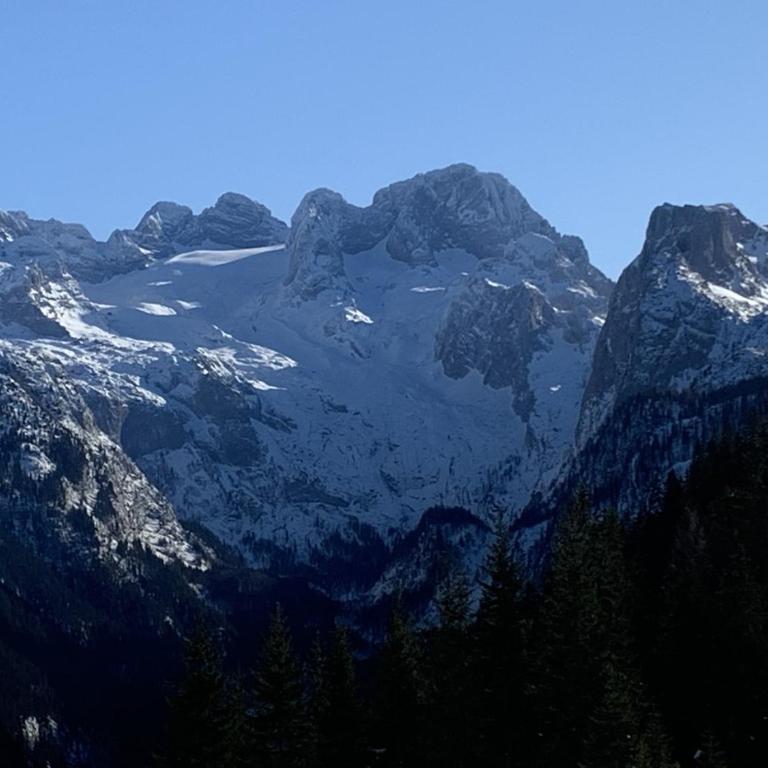 Dachstein Mountainview Gosau - Appartamento - 31