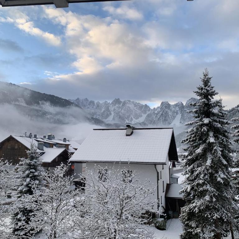 Dachstein Mountainview Gosau - Appartamento - 22