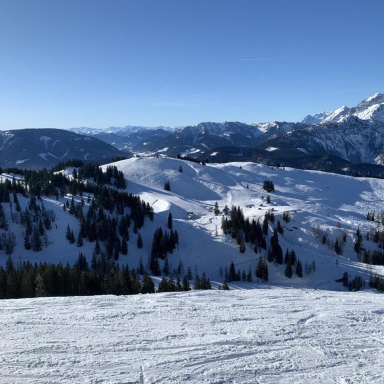 Dachstein Mountainview Gosau - Appartamento - 28