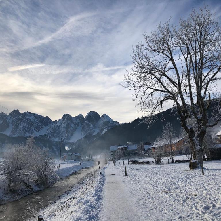 Dachstein Mountainview Gosau - Appartamento - 23