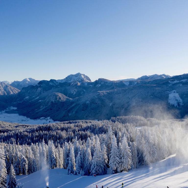 Dachstein Mountainview Gosau - Appartamento - 29