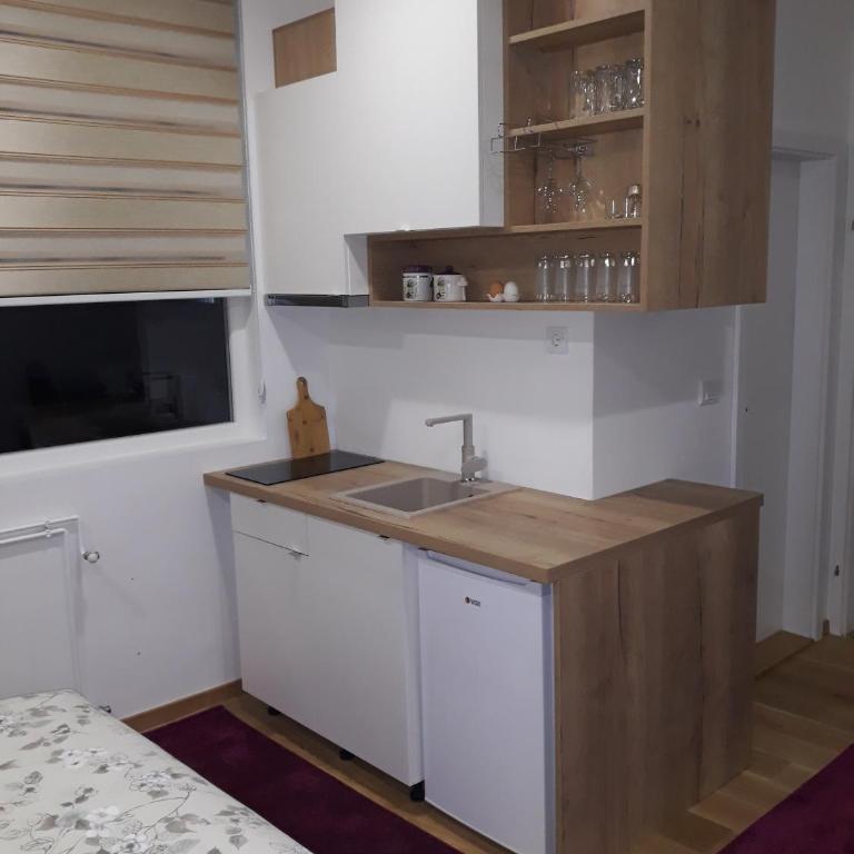 Apartmani Exit - Studio with Mountain View - 9