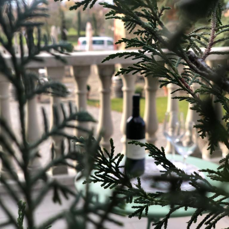 La Cantina Relais - Fattoria Il Cipresso - Suite con Terrazza - 10