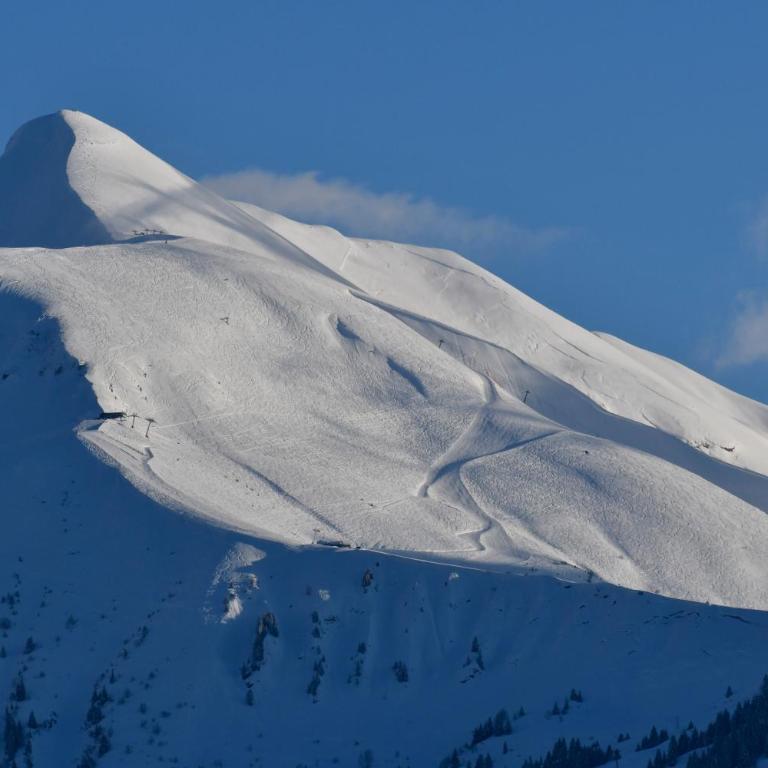 Face Mont-Blanc - One-Bedroom Apartment - 6