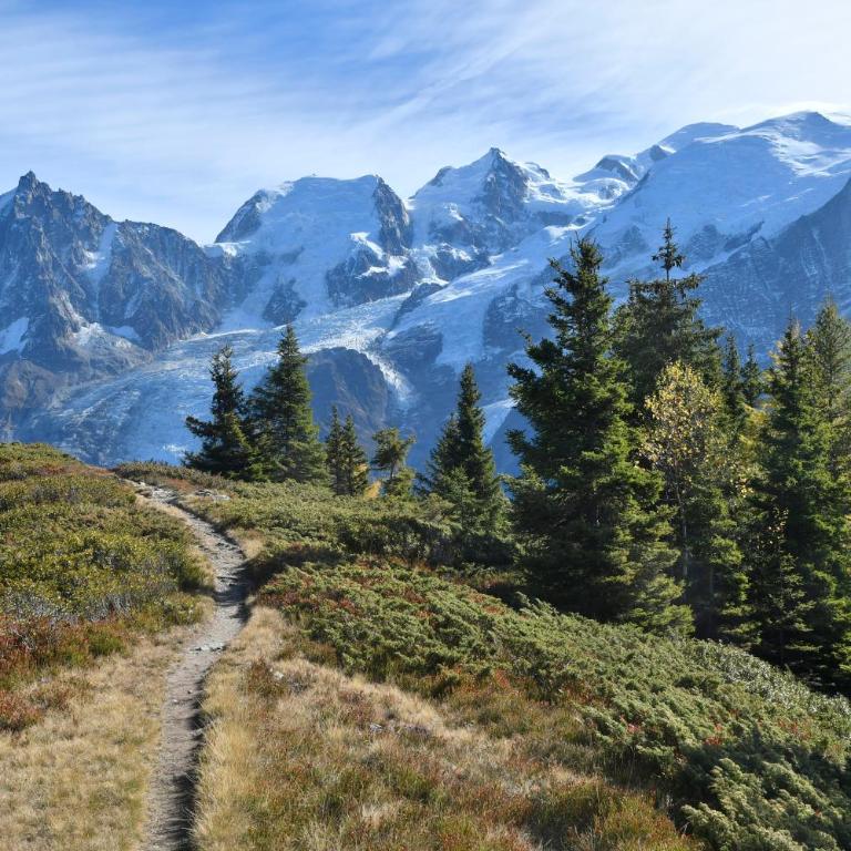 Face Mont-Blanc - One-Bedroom Apartment - 7