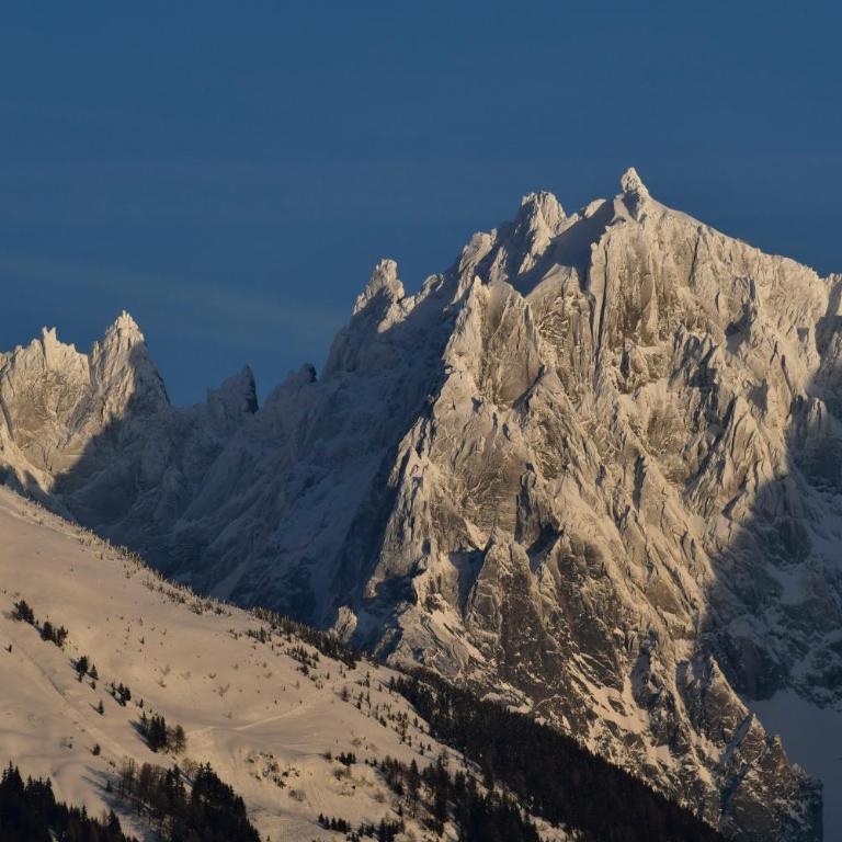 Face Mont-Blanc - One-Bedroom Apartment - 11