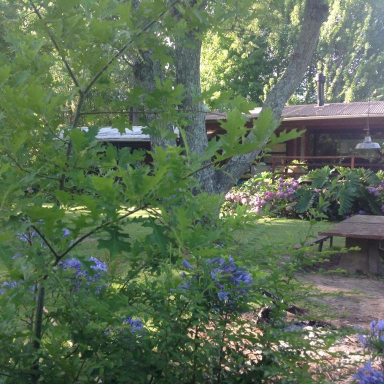 Flamante casa en Delta de Tigre - Two-Bedroom House - 16