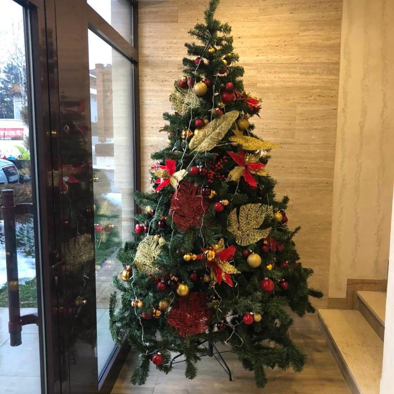 Masha Lux Apartman & SPA - Apartman sa 1 Spavaćom Sobom - 11