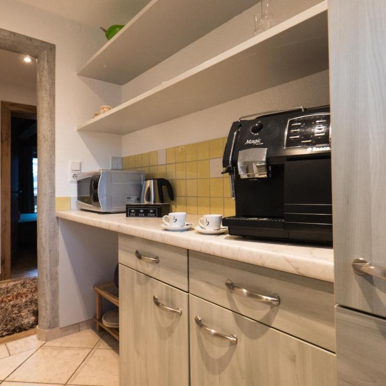 Apart Tyrol - Superior Two-Bedroom Apartment with Balcony - 16