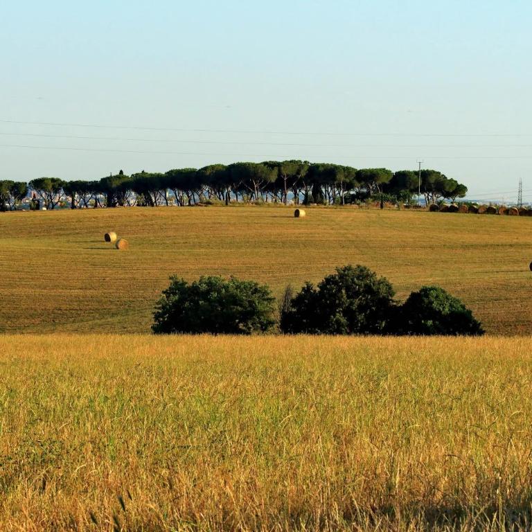L'Oasi di Baal - Villa con Piscina Privata - 37