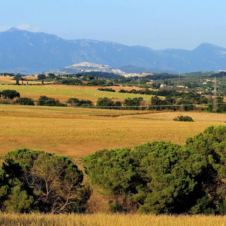L'Oasi di Baal - Villa con Piscina Privata - 41